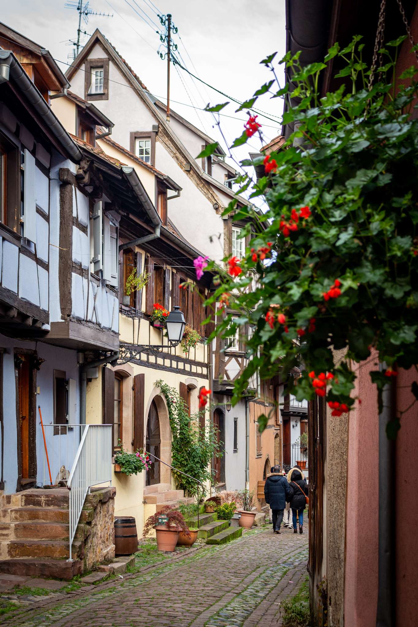 Street in Eguisheim, Alsace
