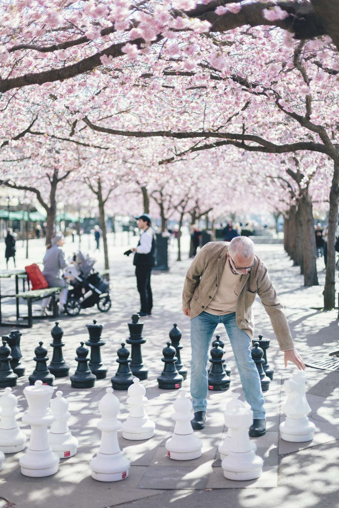 Kungsträdgården in spring, one of the best things to see and do in Stockholm