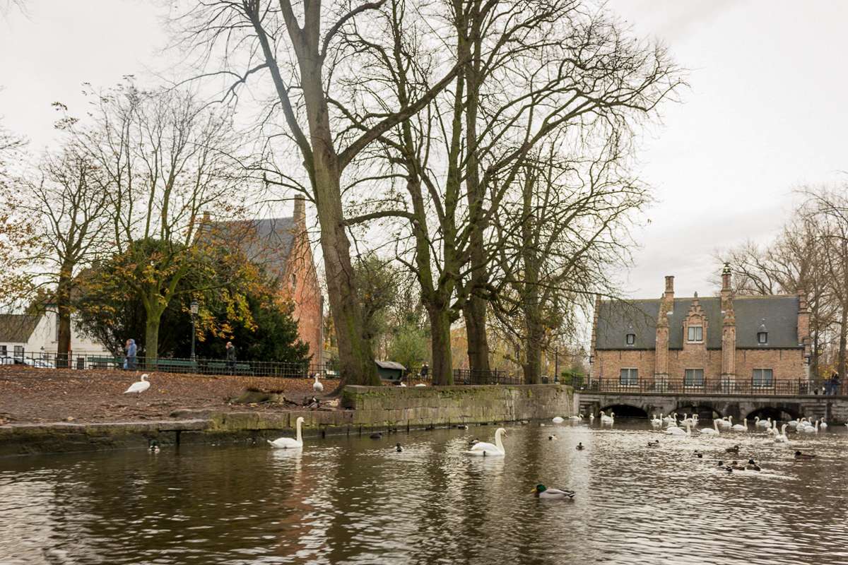 Minnewater lake in Bruges